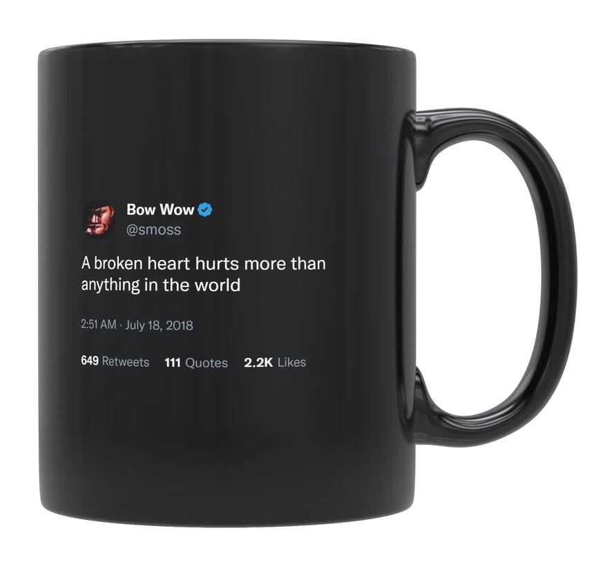 Bow Wow - A Broken Heart Hurts-tweet on mug