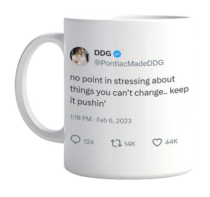 DDG - No Point in Stressing About Things You Can’t Change- mug