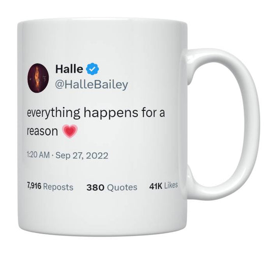 Halle Bailey - Everything Happens for a Reason- mug