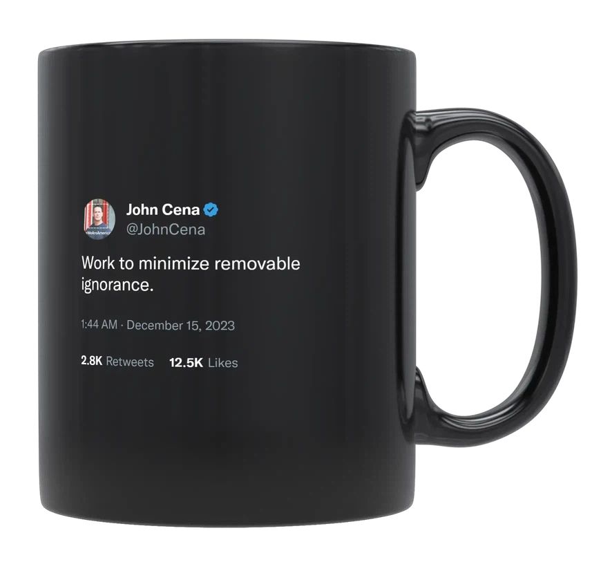 John Cena - Work to Minimize Ignorance- mug