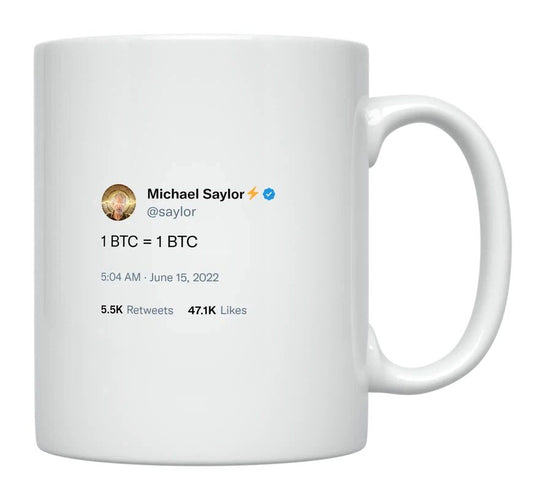 Michael Saylor - 1 Bitcoin Equals 1 Bitcoin- mug