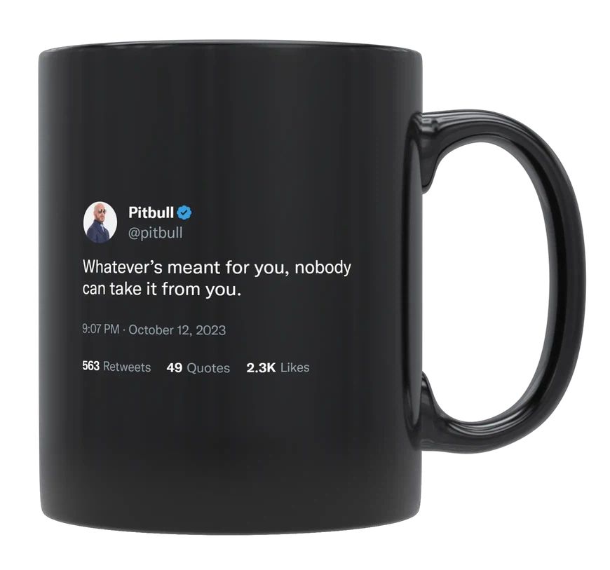 Pitbull - Nobody Can Take What’s Yours- mug