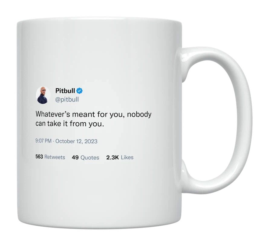 Pitbull - Nobody Can Take What’s Yours- mug