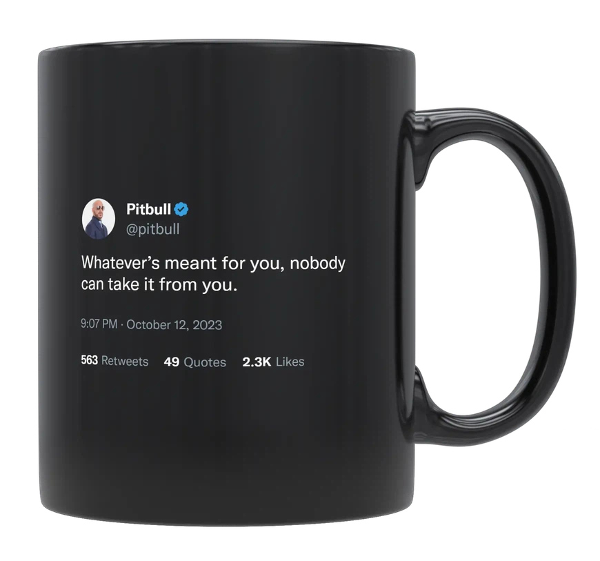 Pitbull - Nobody Can Take What’s Yours-tweet on mug