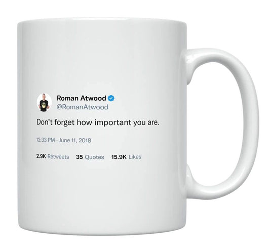 Roman Atwood - Don’t Forget How Important You Are- mug