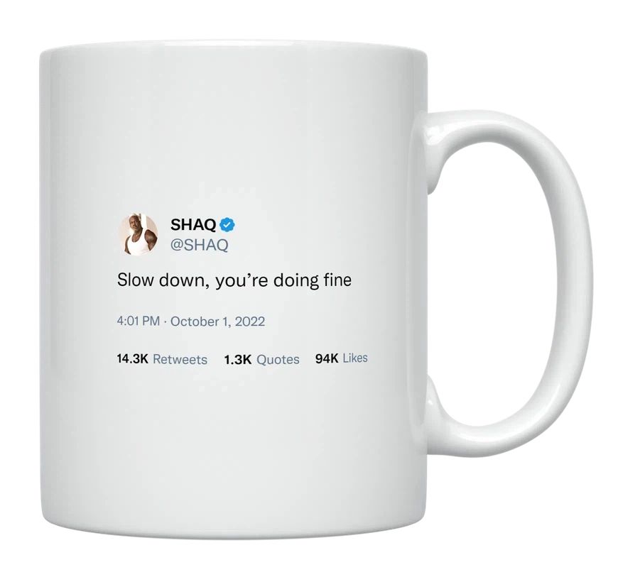 Shaq - Slow Down, You’re Doing Fine- mug