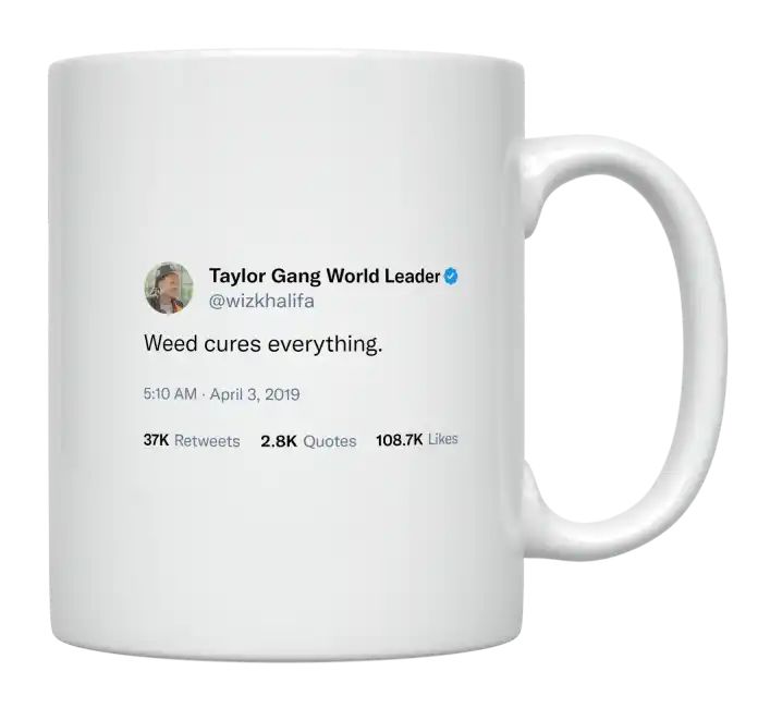 Wiz Khalifa - Weed Cures Everything- mug