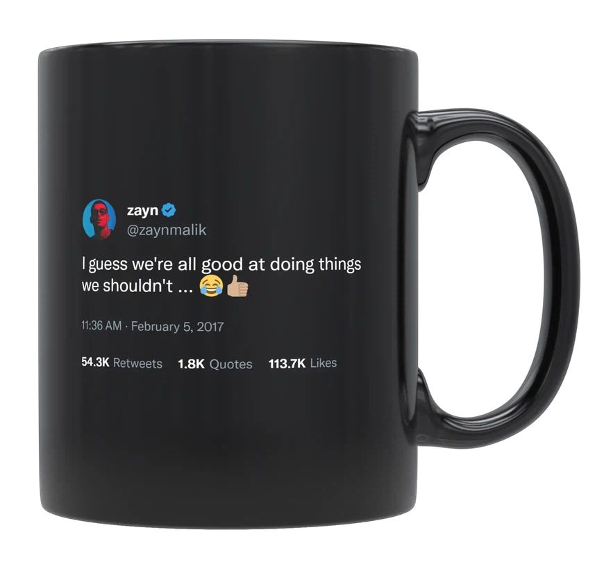 Zayn Malik - Good at Doing Things We Shouldn’t- mug