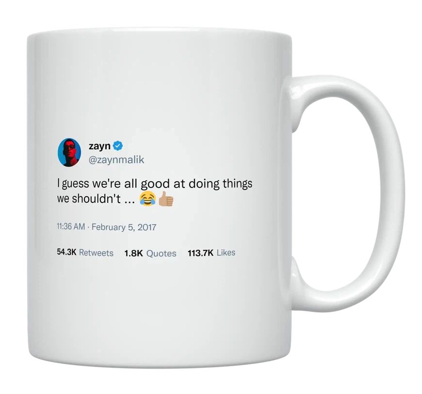 Zayn Malik - Good at Doing Things We Shouldn’t- mug