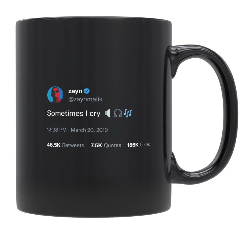 Zayn Malik - Sometimes I Cry- mug