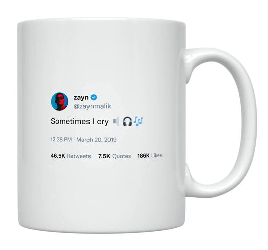 Zayn Malik - Sometimes I Cry- mug